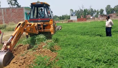 Encroachment removed from 700 hectares of land