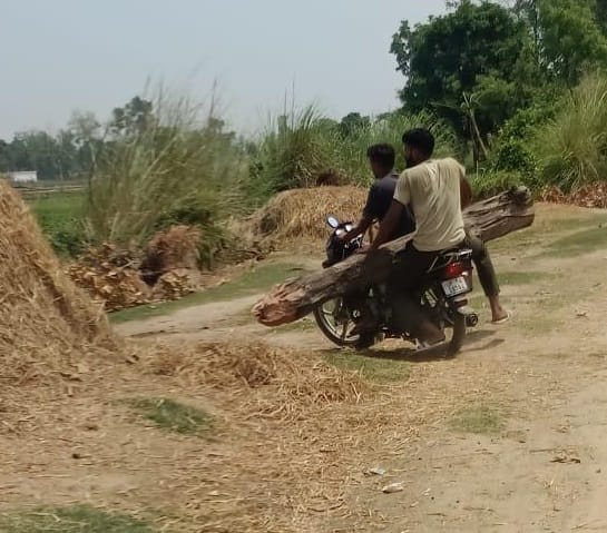 Photo of carrying wood went viral