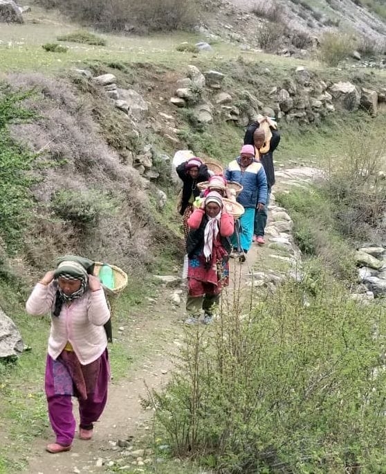 Villagers carrying water from three km away in Dhakar of Darma