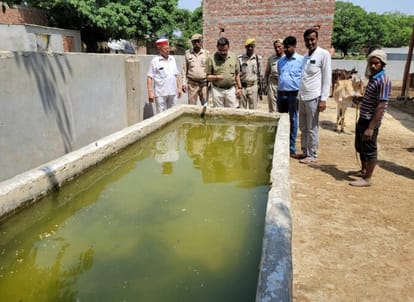 Two cows died of hunger in a week in Gaushala