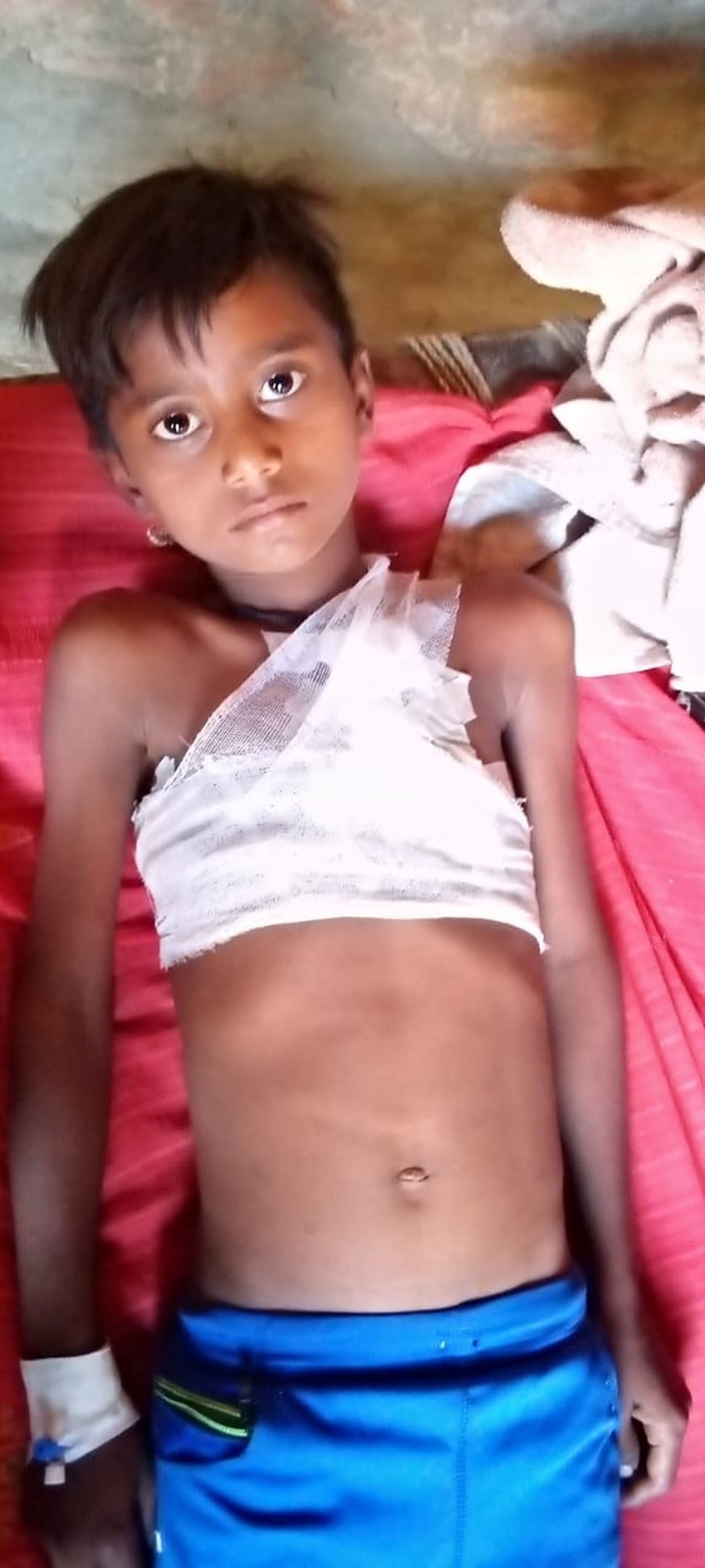 Leopard attacked the boy guarding the farm