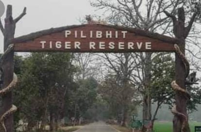 Pilibhit Tiger Reserve got recognition in India and abroad