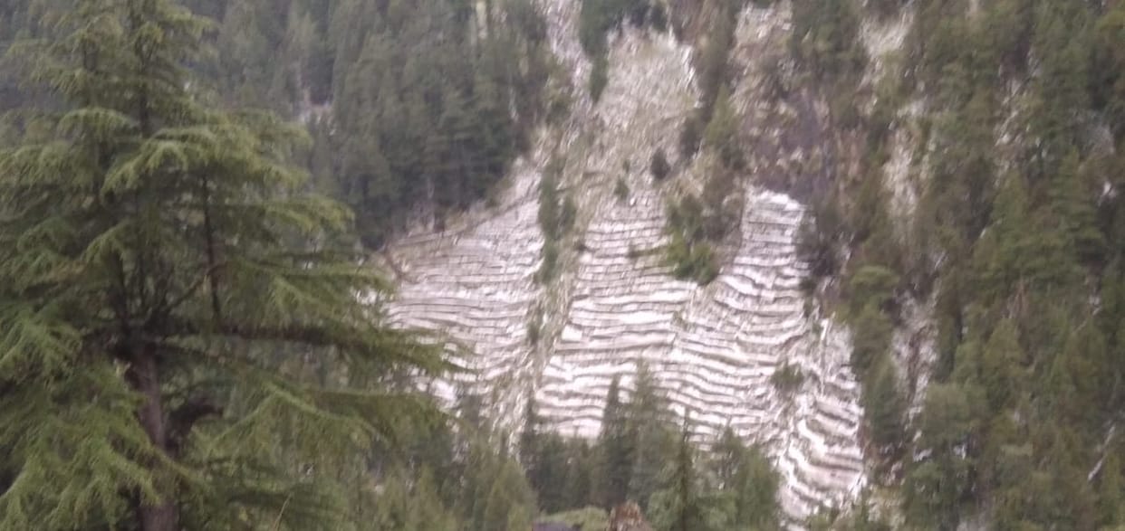 Hail fell in Bharmour's Ulansa, apple crop ruined