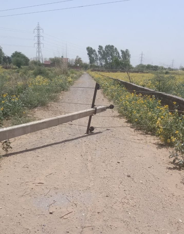 More than 200 power poles broken by storm, 10 transformers fell