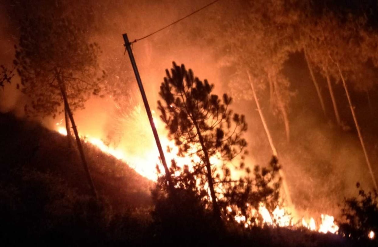 The forest near Pati's populated areas blazed