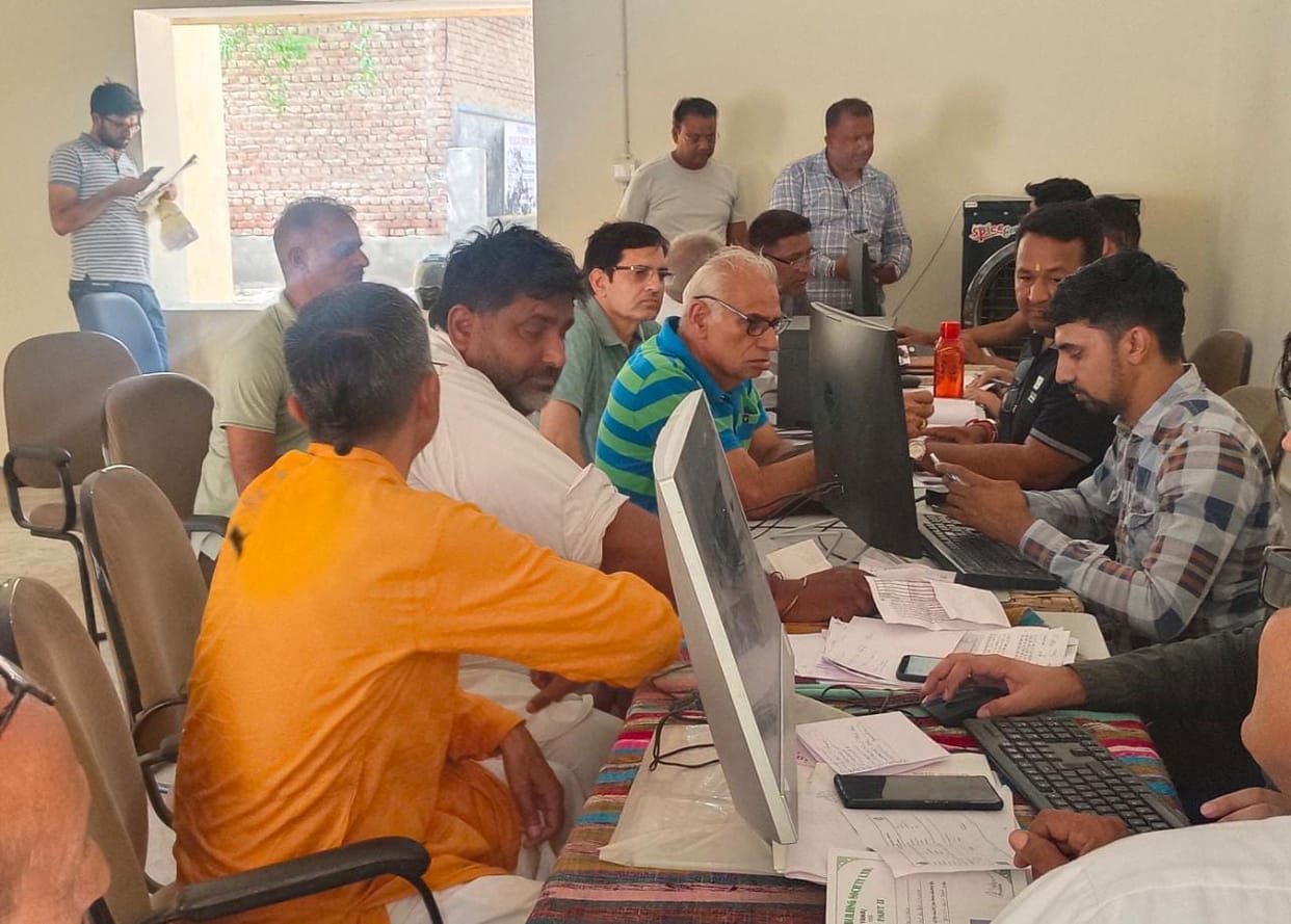 299 complaints of property ID were settled in two days, 500 pending due to non-completion of papers