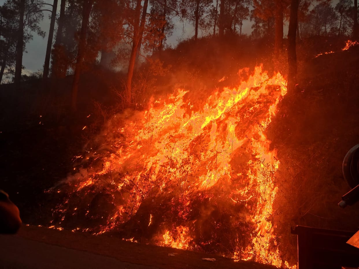 Fire in jungle in District.
