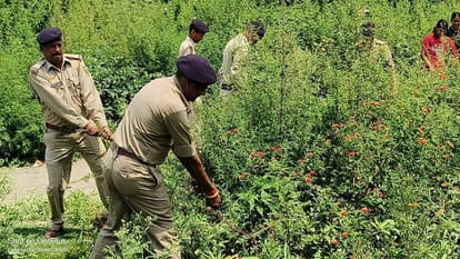 Police raids in drug dens in Jogindernagar