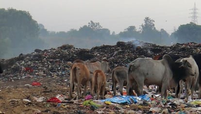 The people of Kakrakalan will get relief from the smoke of burning garbage in the dumping ground