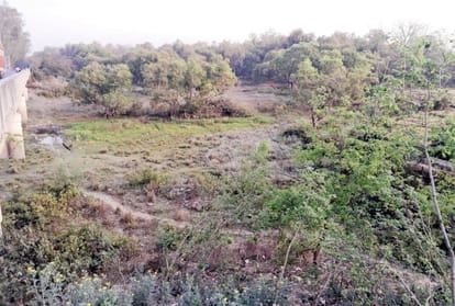 Patkar dried up the perennial difficulty, increasing the risk of human-wildlife conflict