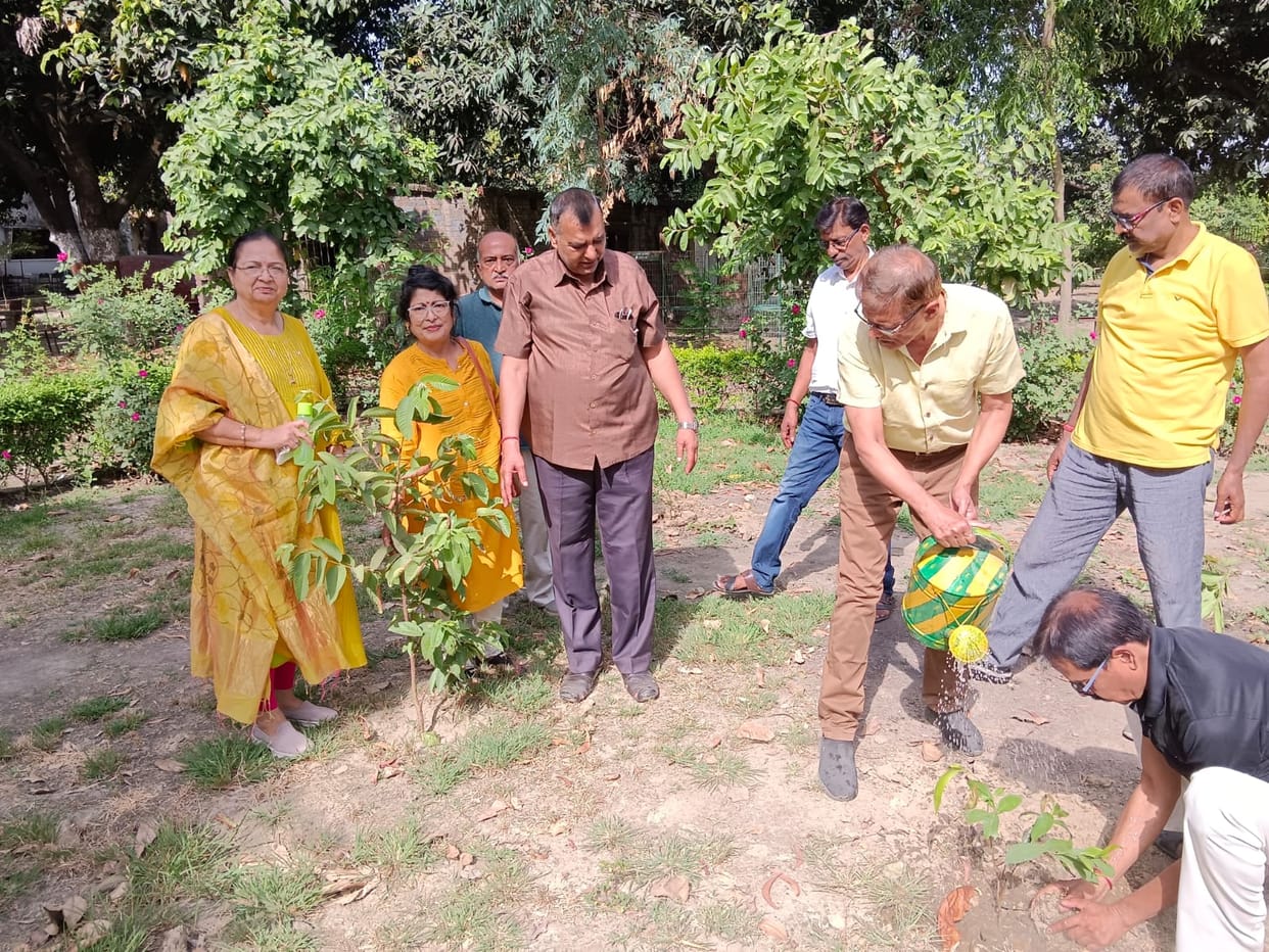 Cleanliness campaign was conducted at Rotary Crossroads, plantation was done
