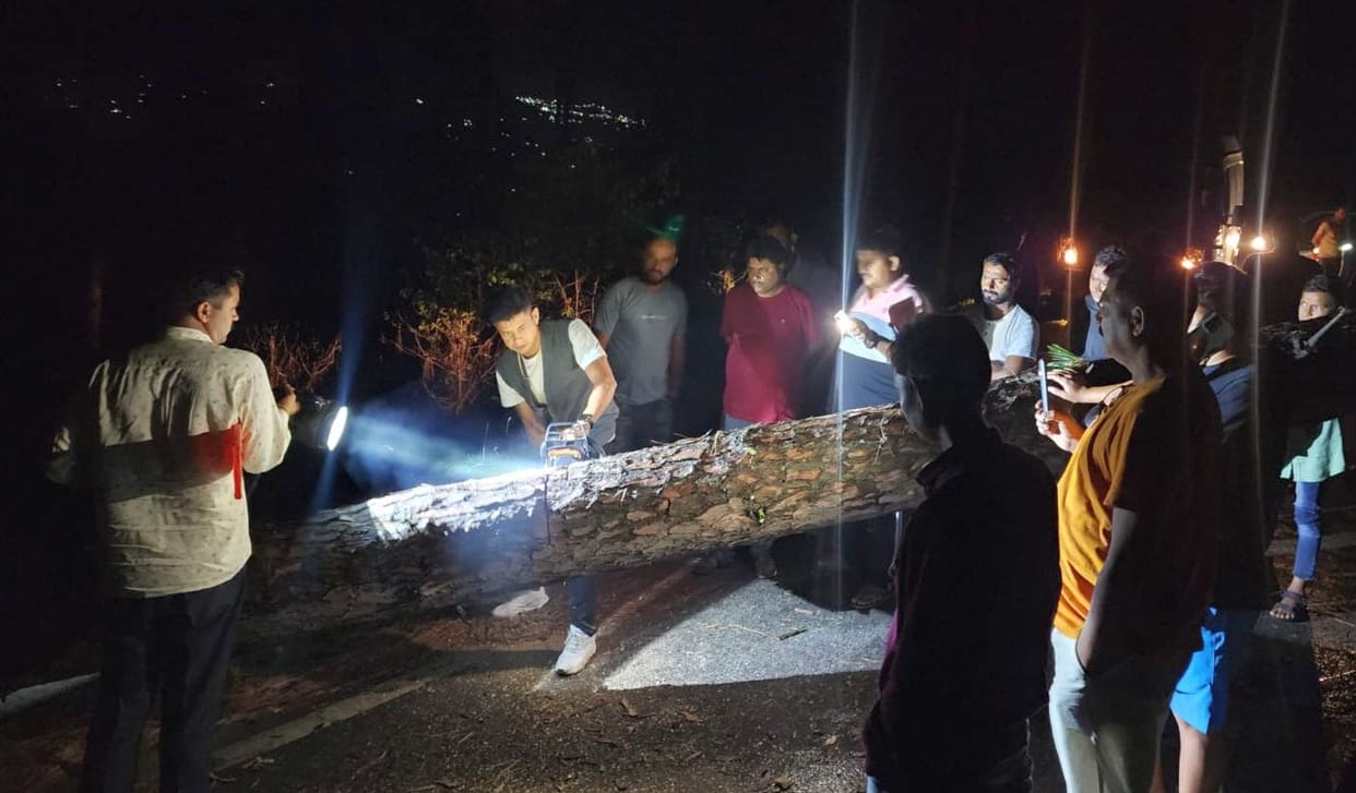 Traffic affected for one hour due to falling of trees on Thal-Bedinag road