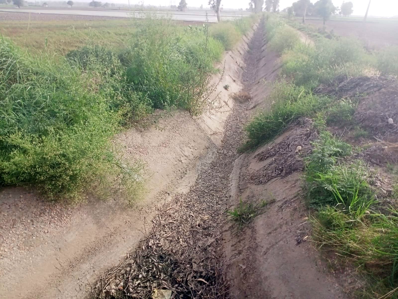 Bad story of Rajwahe, paddy is asking for water for transplanting
