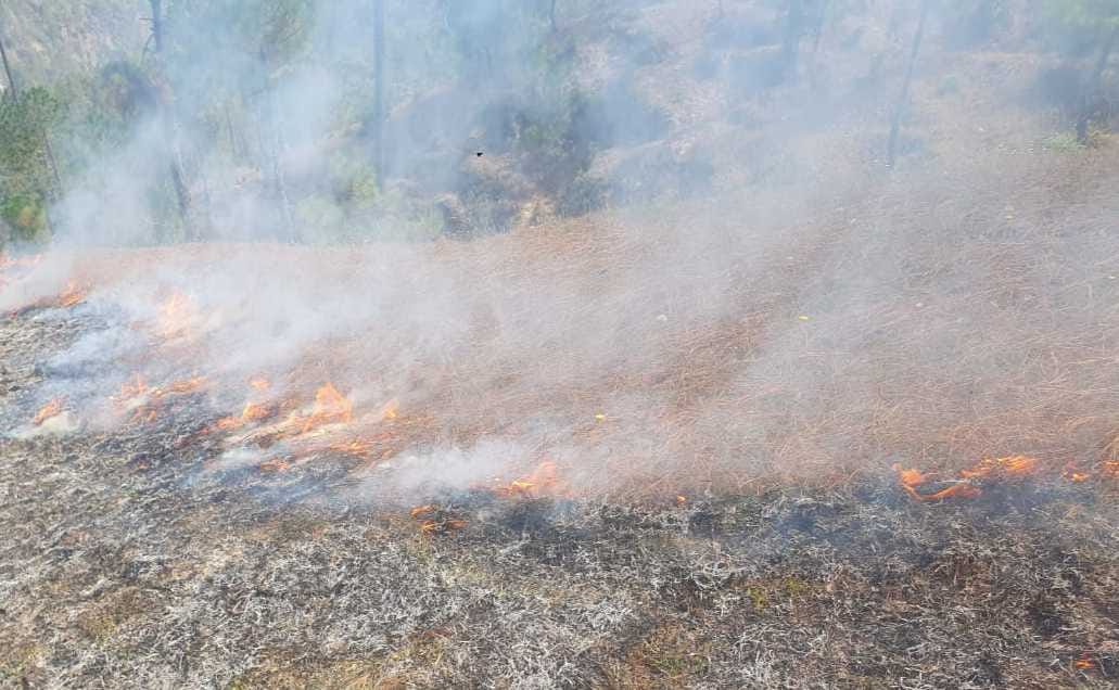 The forests of Pati area blazed after the fire period
