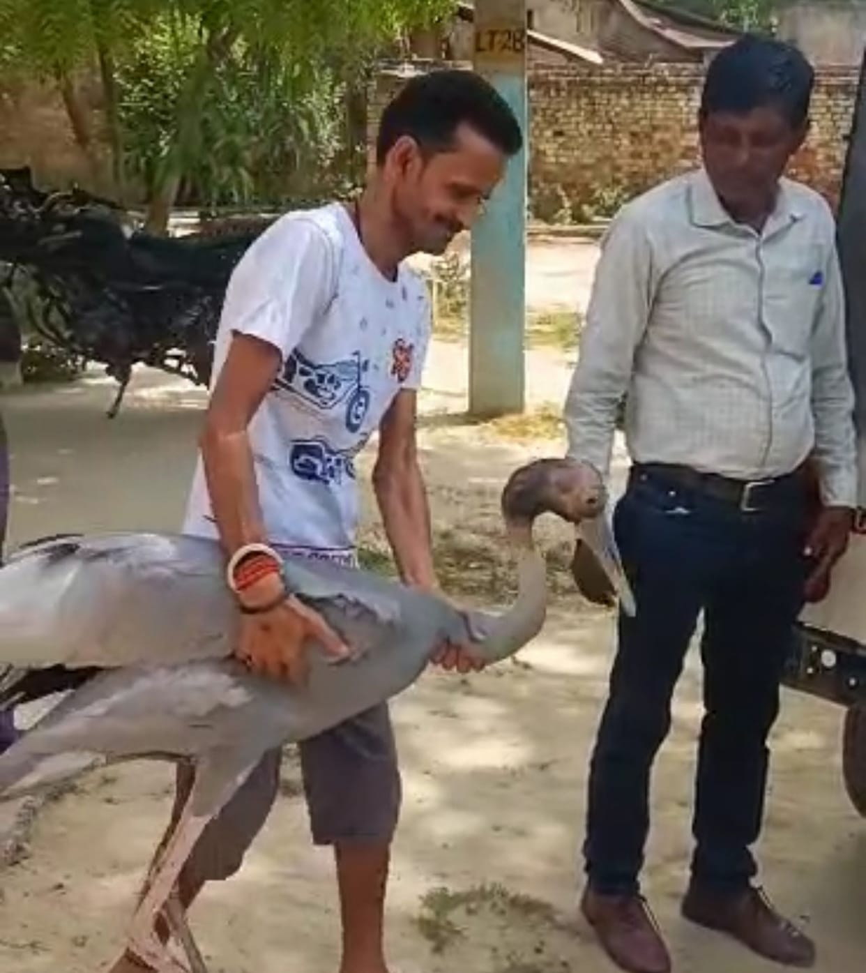 After treating the injured stork, it was handed over to the forest department.