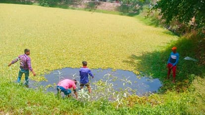 Cleaning started in the lakes of Gomti origin