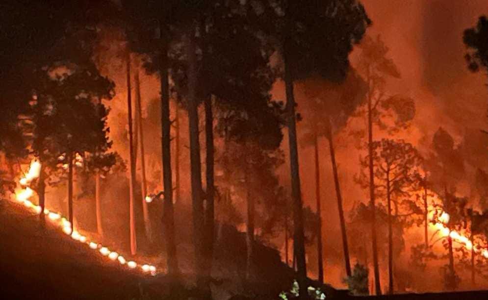 The forest of Pati area blazed, damage to two hectares of forest wealth