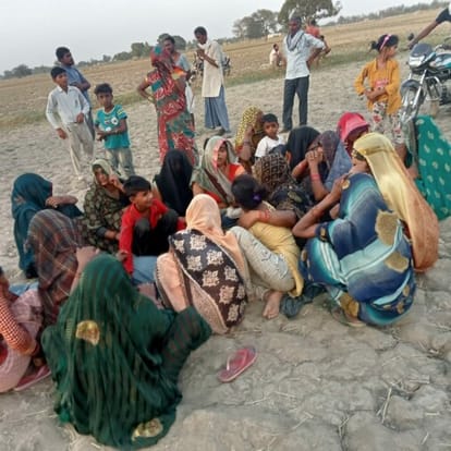 The bull killed the farmer