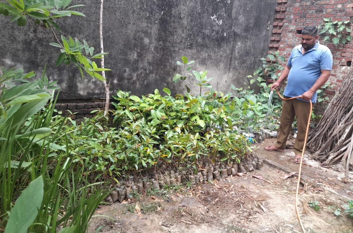 Nursery of plants prepared to save the environment