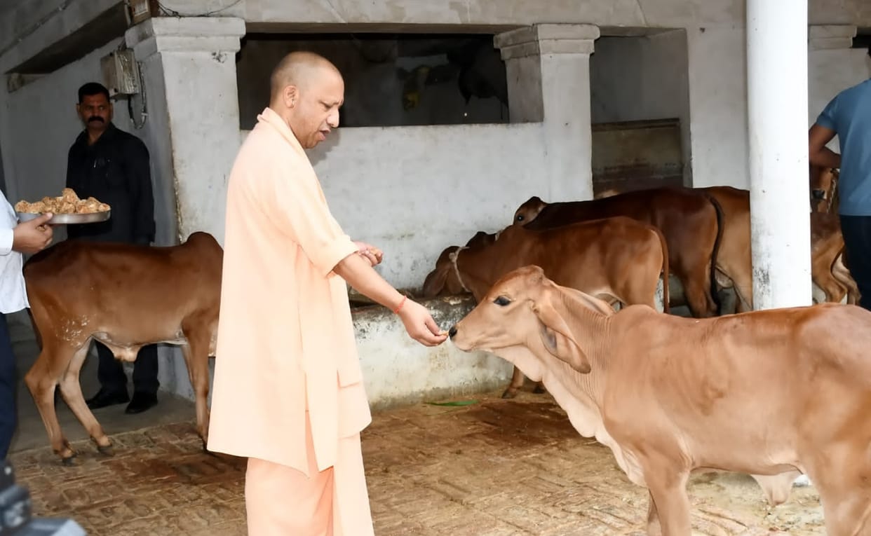 Yogi's presence in the court of Maa Pateshwari