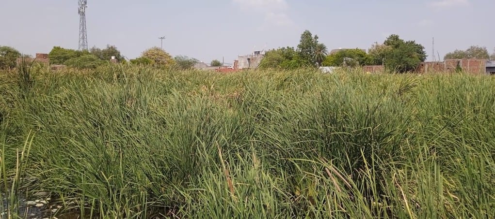 Undekhi drank the water of 100 years old pond