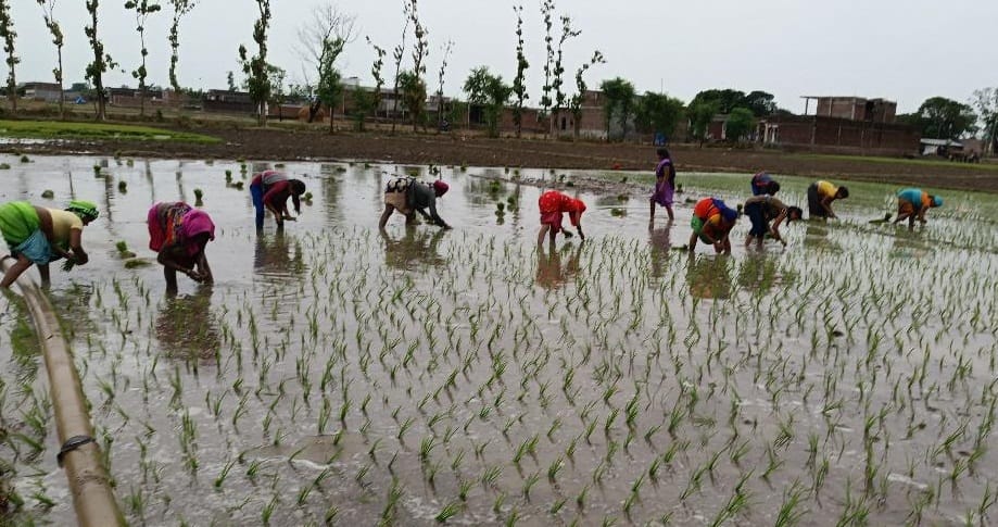 Farmers got relief 77