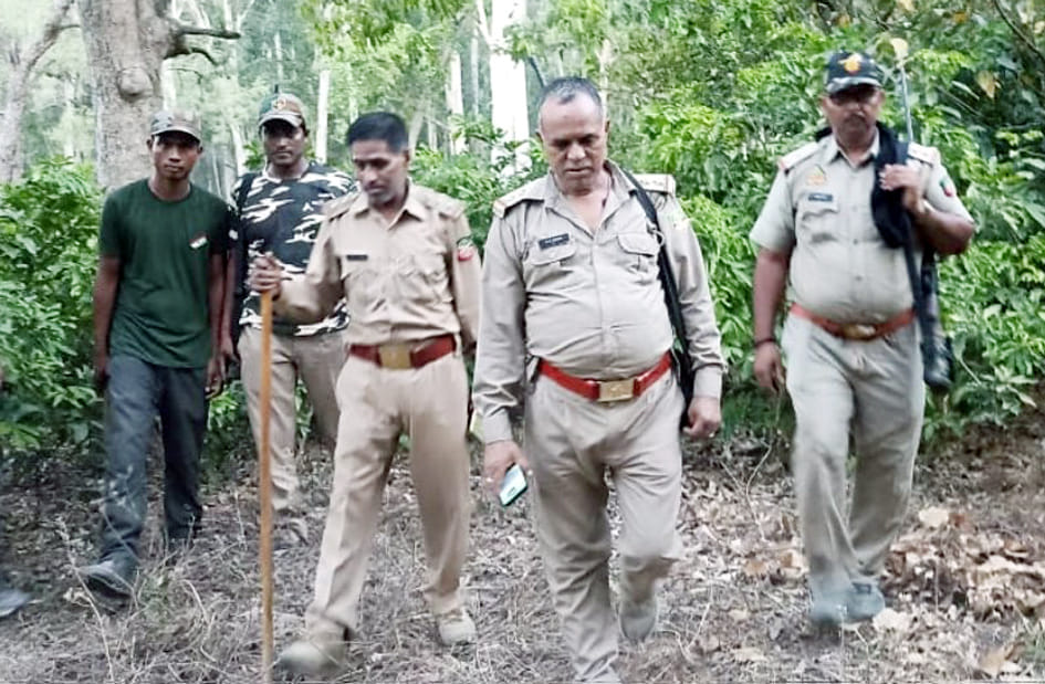 Dudhwa: Field staff in offices instead of surveillance