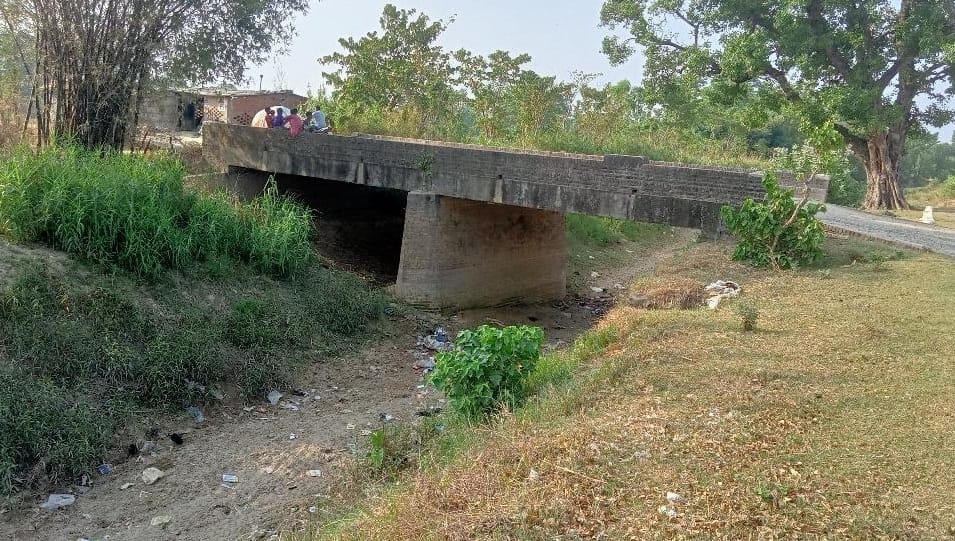 Farmer forced to plant paddy