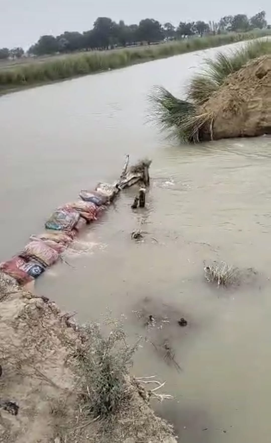 river cut water resist