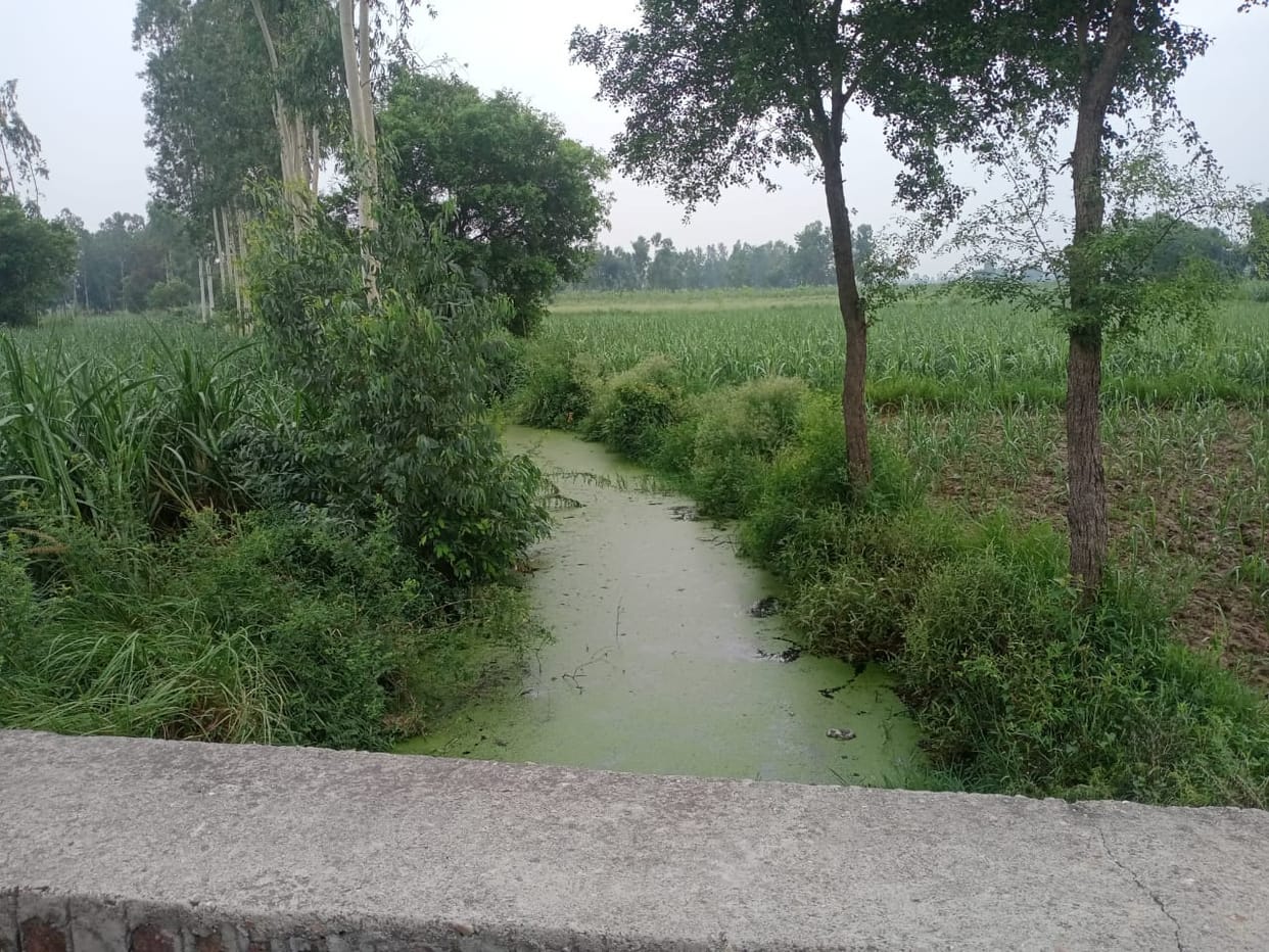 The existence of Bankla river in danger