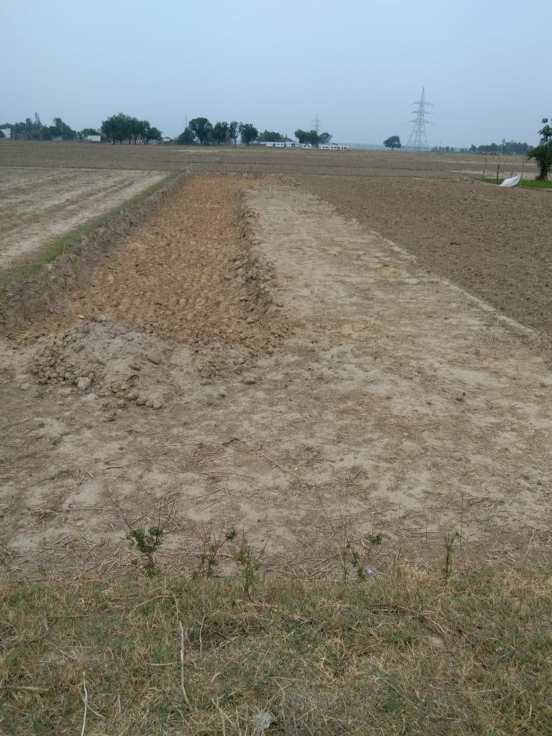 The mining mafia has been stirred up by the action taken against the mining officer in the case of illegal mining. The effect of this was that on Saturday the ghats of the rivers remained deserted and silence was seen on the banks of the rivers.