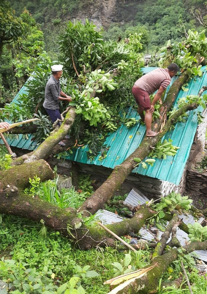 House damaged due to falling tree in Shilling Sera of Bangapani