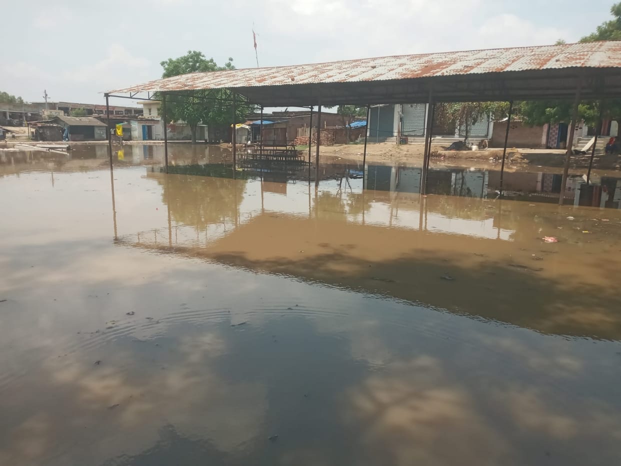 Rain brought relief from heat, farmers' faces blossomed