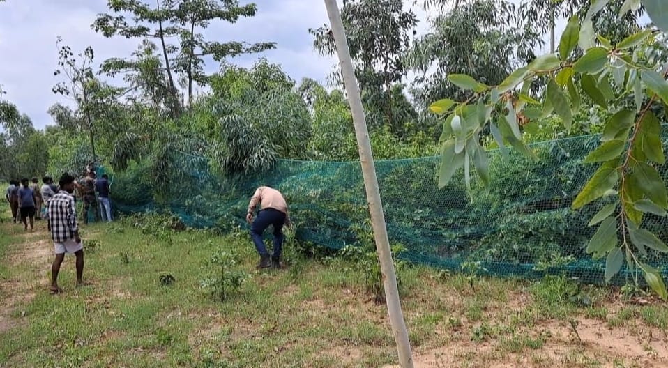 In the suspicion of Guldar, the field was covered with a net.