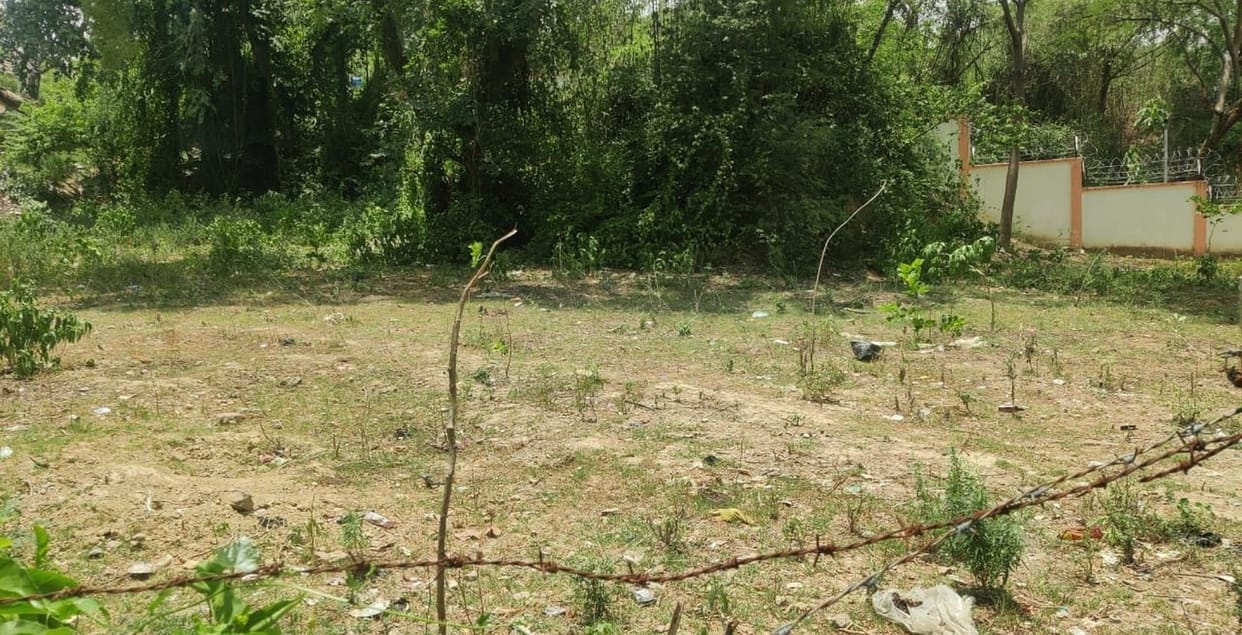 Many plants dried up, now preparing to plant 52 lakh plants