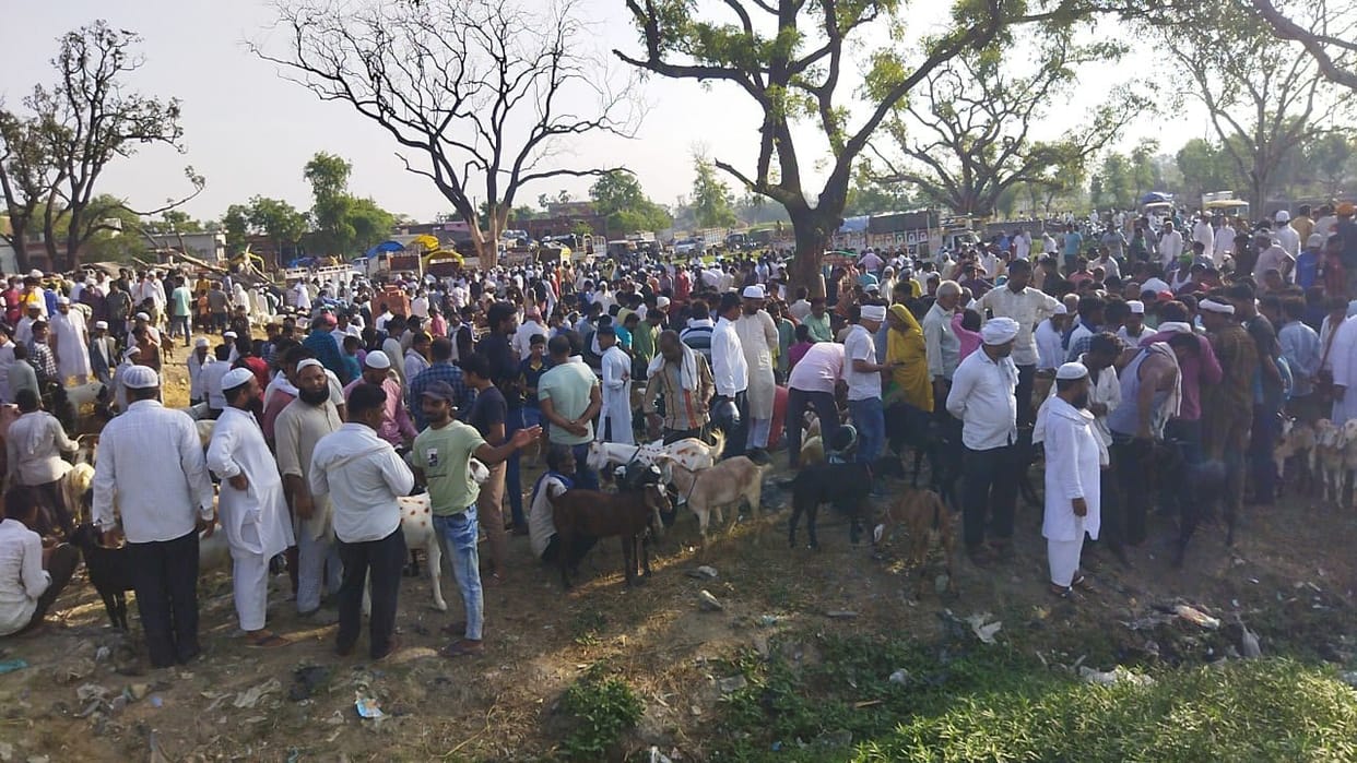 cultural festival