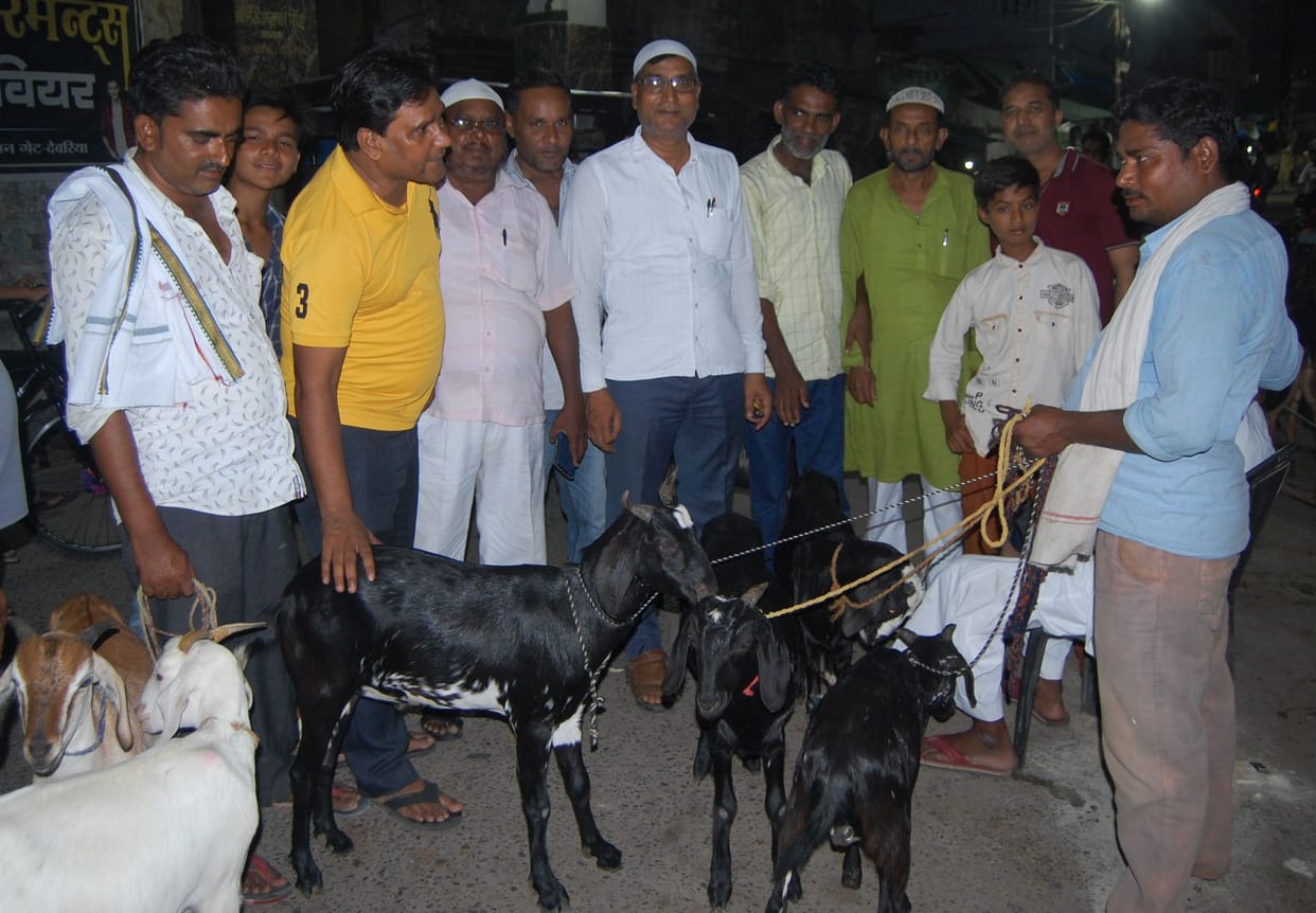 Eid-ul-Azha today, sale and purchase of goats took place throughout the day