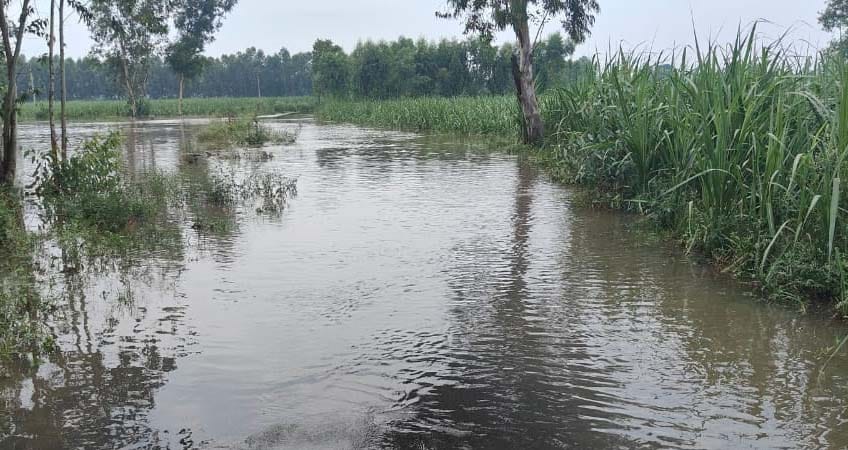 Rainfall three times more than normal in the district