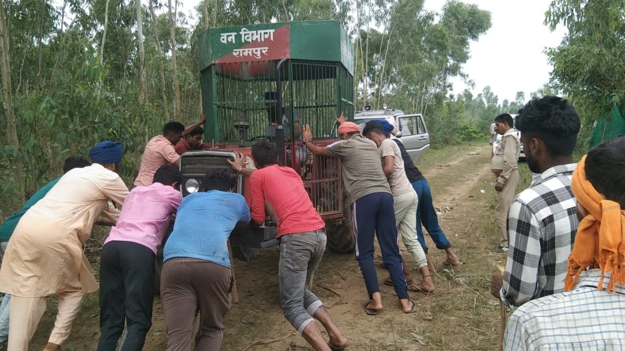 Guldar escaped even after being tranquilized