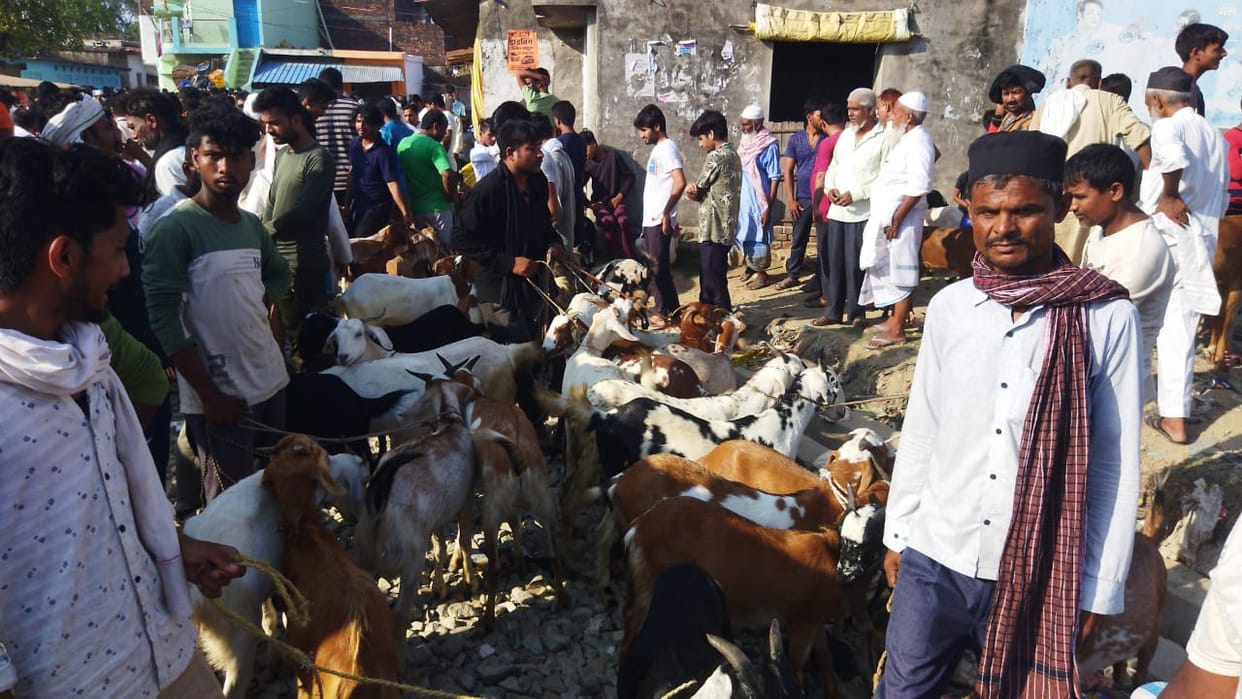 Kallu Bakra sold for 25 thousand and Suleman for 28 thousand