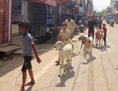 Eid-ul-Azha today, preparations completed at Idgahs and places of sacrifice