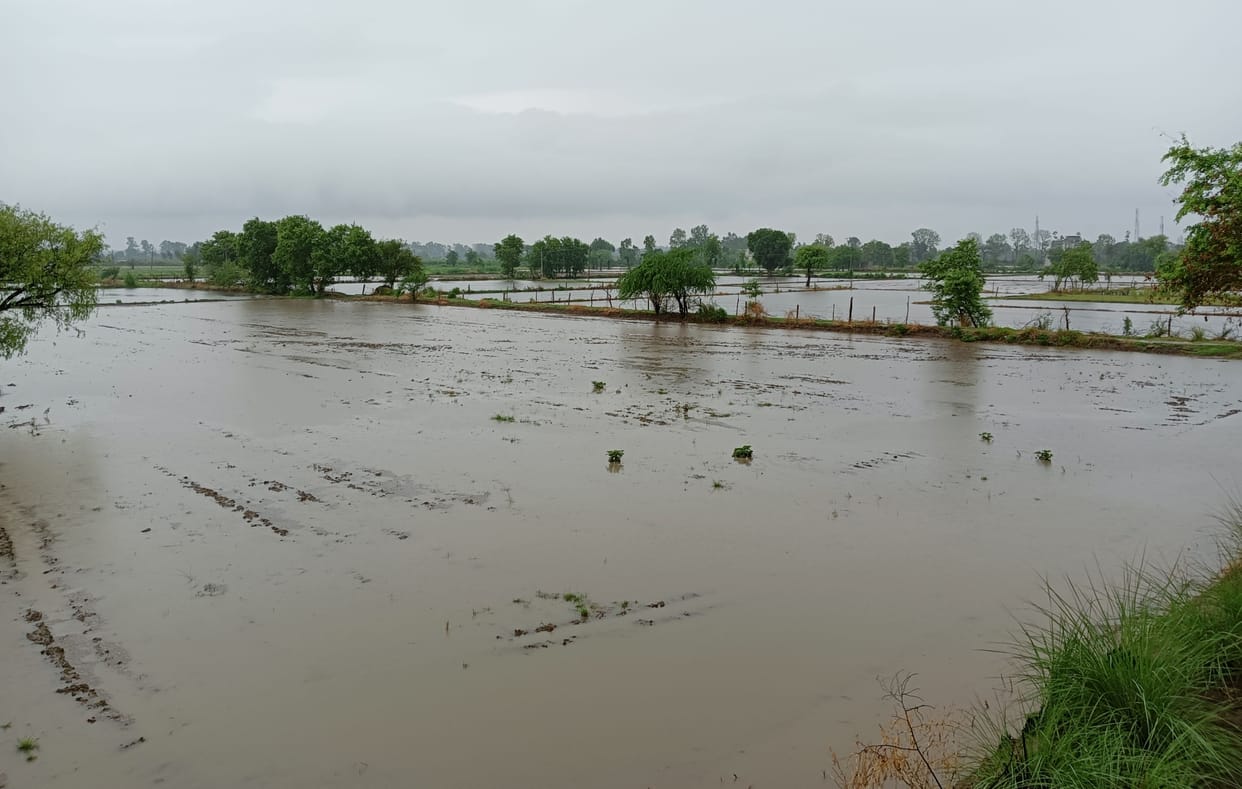 Maximum 138 mm of rain in Badhda in four days