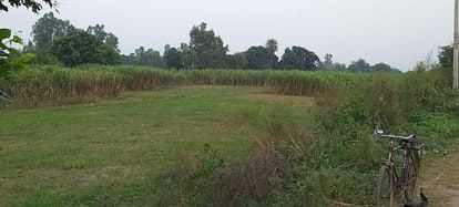 Construction of Bhainswal Sports Stadium will start in July