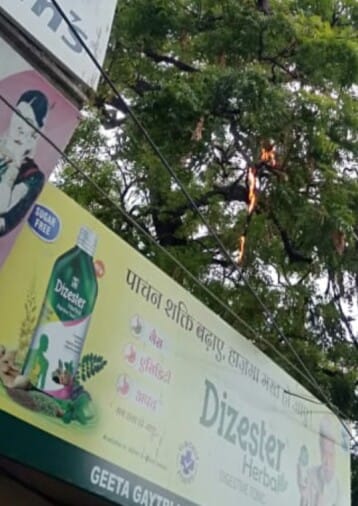 Neem tree caught fire due to breaking of power line, lights of 100 houses
