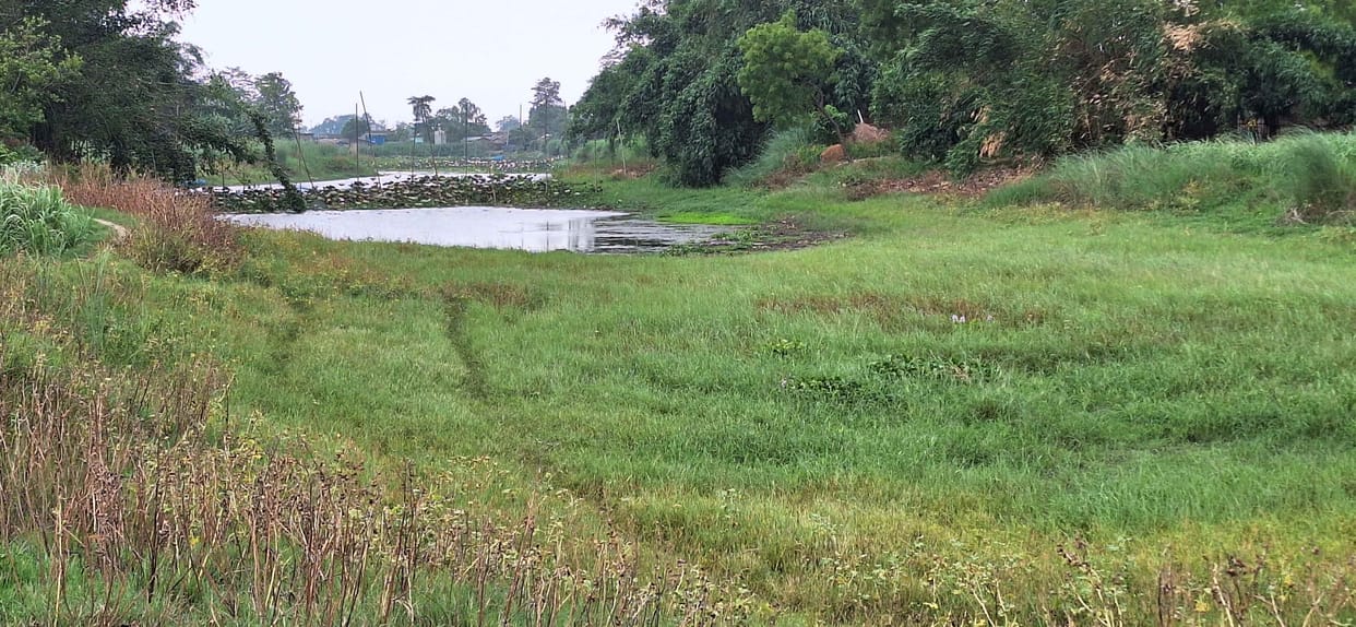 ringbandh damage