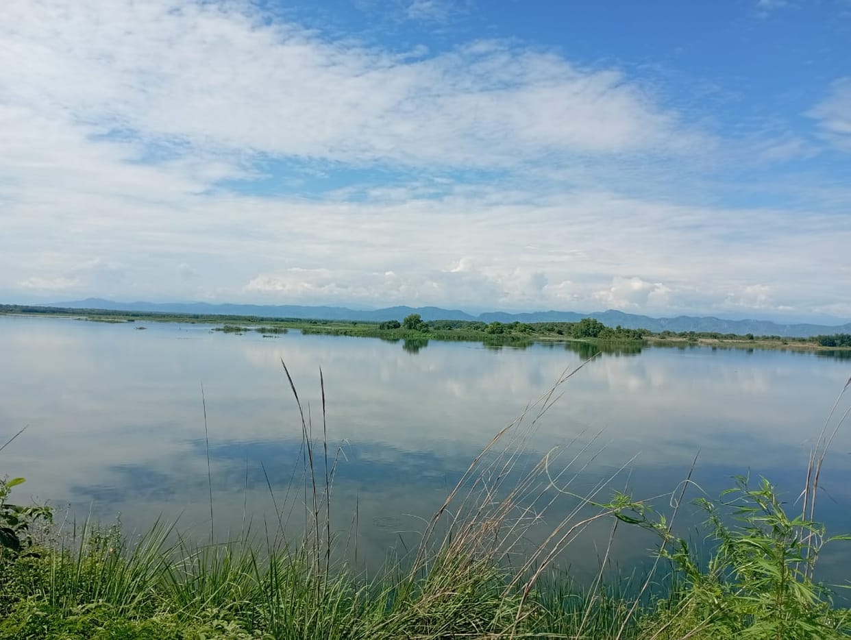 Ramganga barrage's pond area full of water, crops submerged