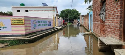 Digging of ponds, turtle move, how to save rain water