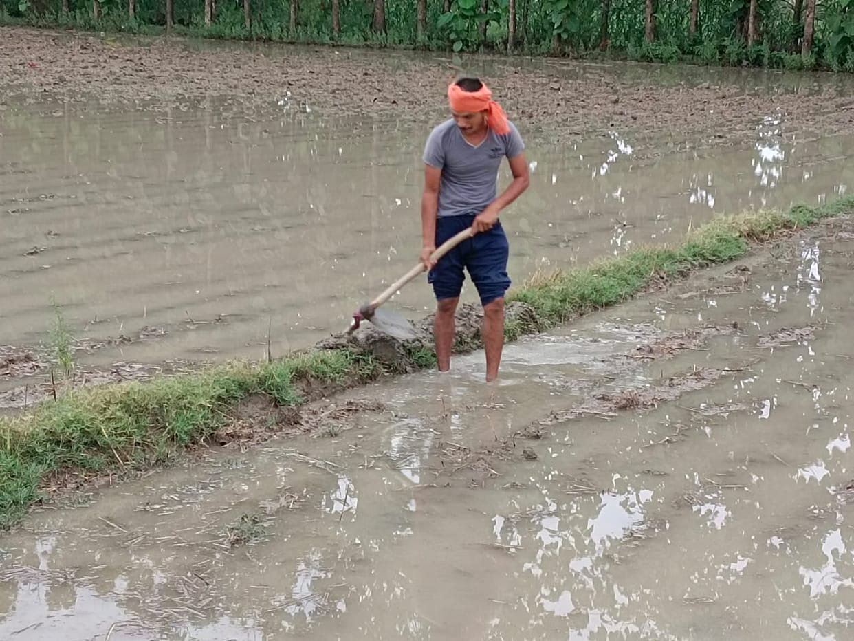 Monsoon becomes active, trouble for urbanites, farmers overwhelmed