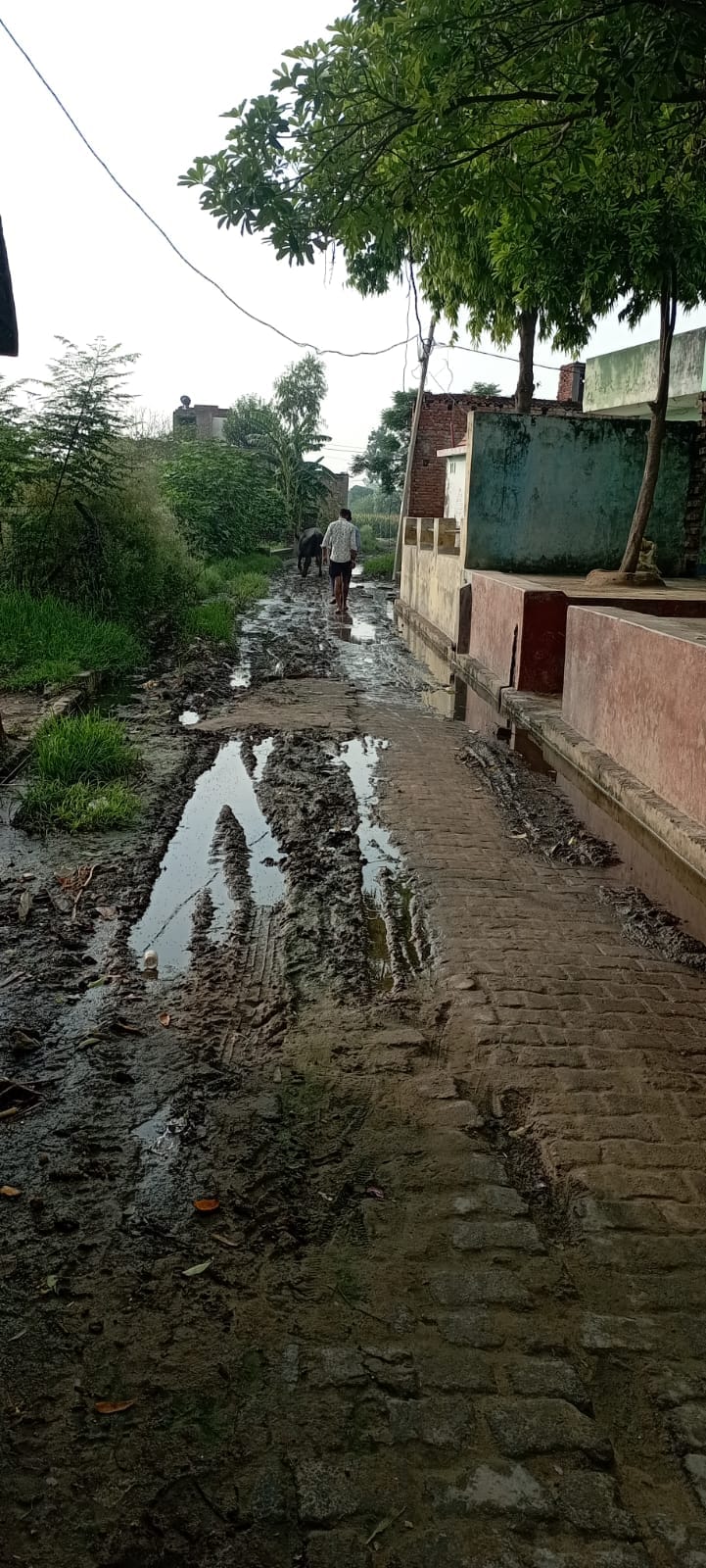 Roads dug for pipeline in bad condition