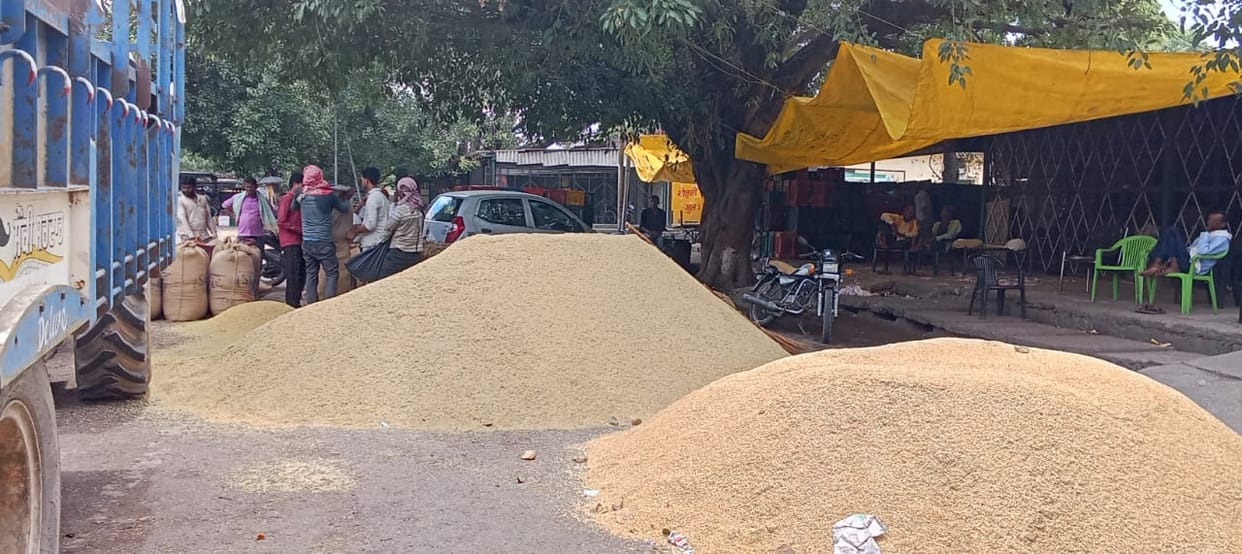 The administration kept claiming strictness, the farmers grew a lot of paddy